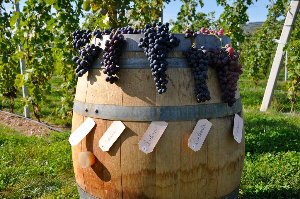 Agriturismo Corte Moranda Verona Luaran gambar