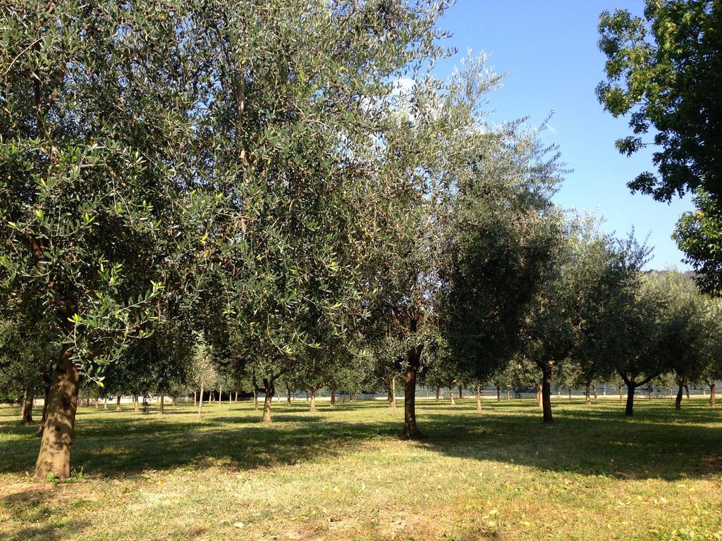 Agriturismo Corte Moranda Verona Luaran gambar